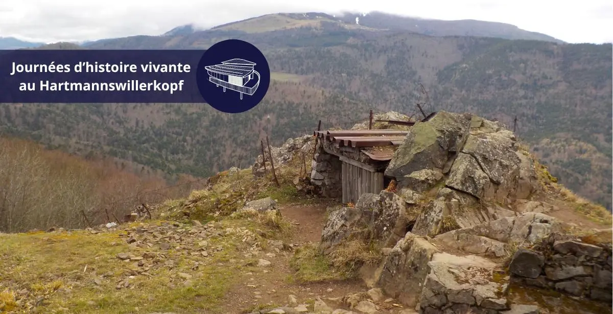 Découvrez l'Histoire de manière passionnante