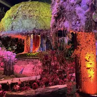 La beauté de ces champignons végétaux (Folie Flore 2025) &copy; Céline Zimmermann