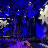 De féériques rideaux d'eaux animés (Folie Flore 2025) &copy; Céline Zimmermann