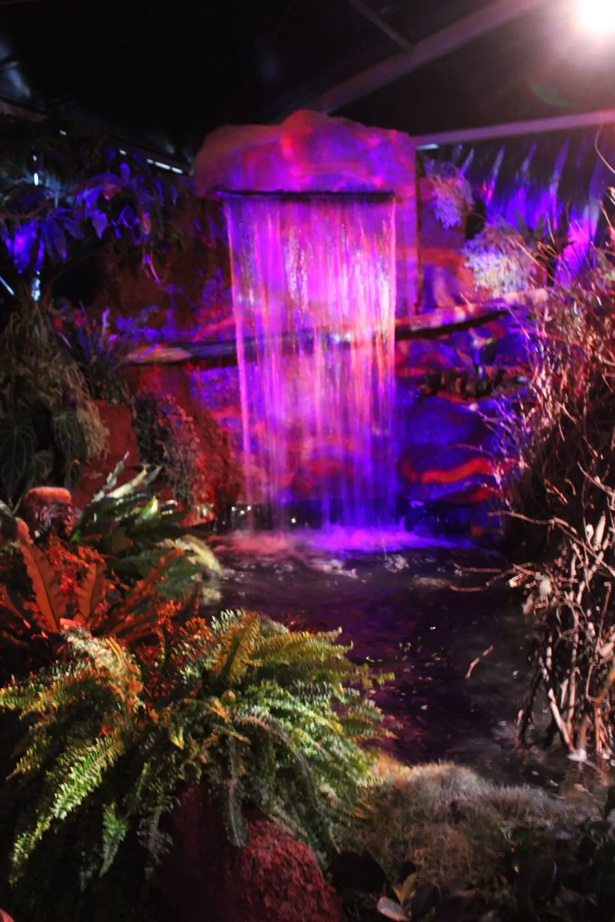 Des jardins sortis d'un autre monde