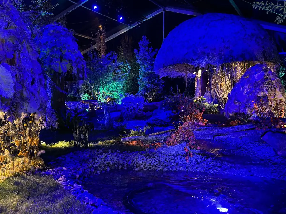 Folie Flore célèbre ses 25 ans (édition 2025)