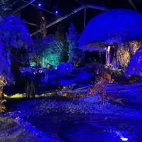 Folie Flore célèbre ses 25 ans (édition 2025) &copy; Céline Zimmermann