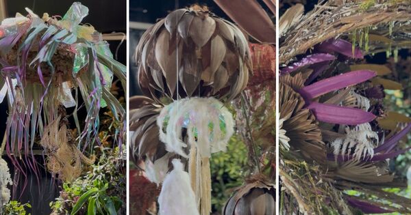 🌸 Folie'Flore et les Journ&eacute;es d'Octobre, &ccedil;a commence ce jeudi !