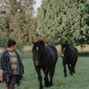 Journées découverte de la Médiation par le cheval