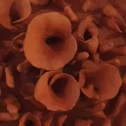 Journées des Métiers d'Art : exposition Terre à Cœurs - Cécile Laissus