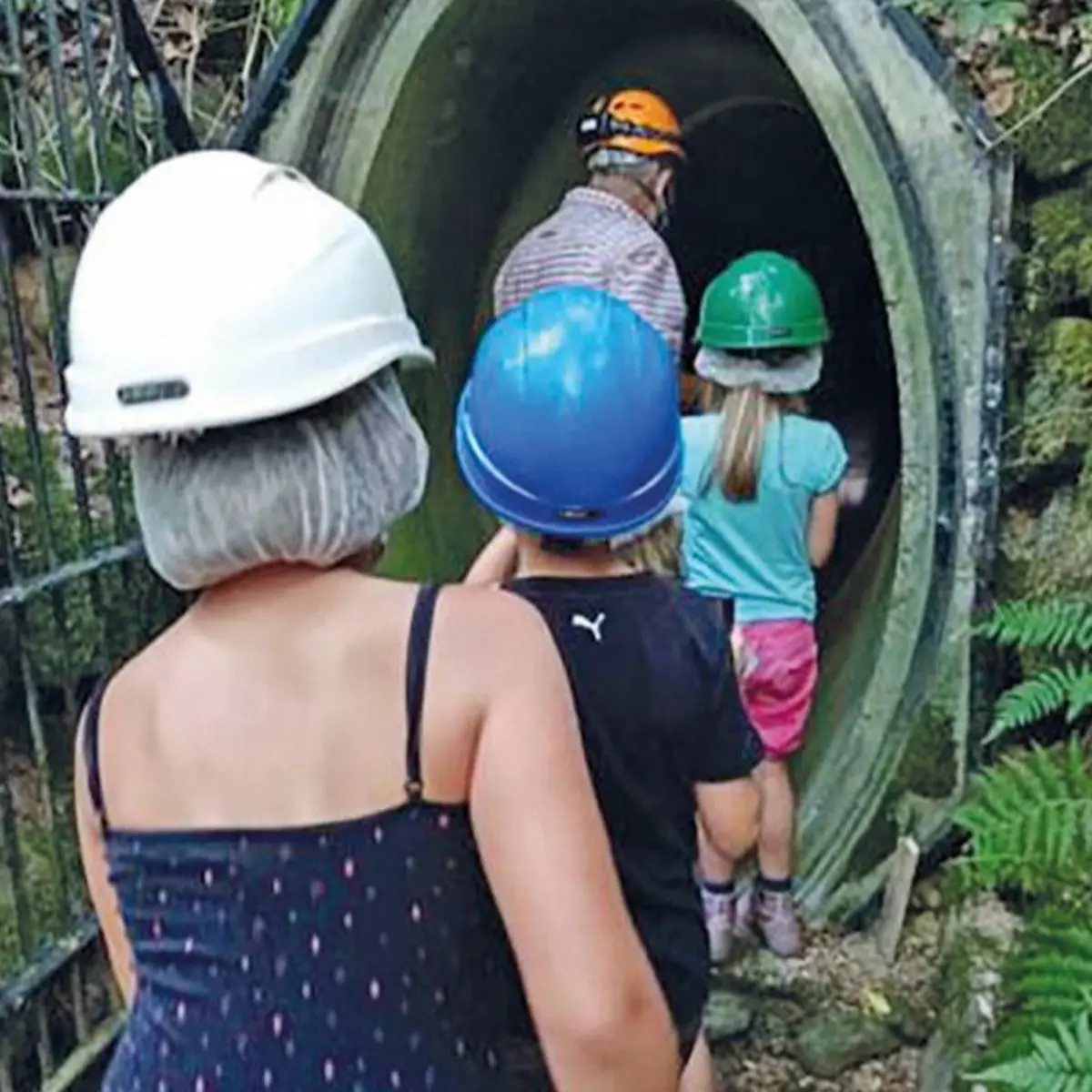 Une balade avec les trolls à Bourbach-le-Bas