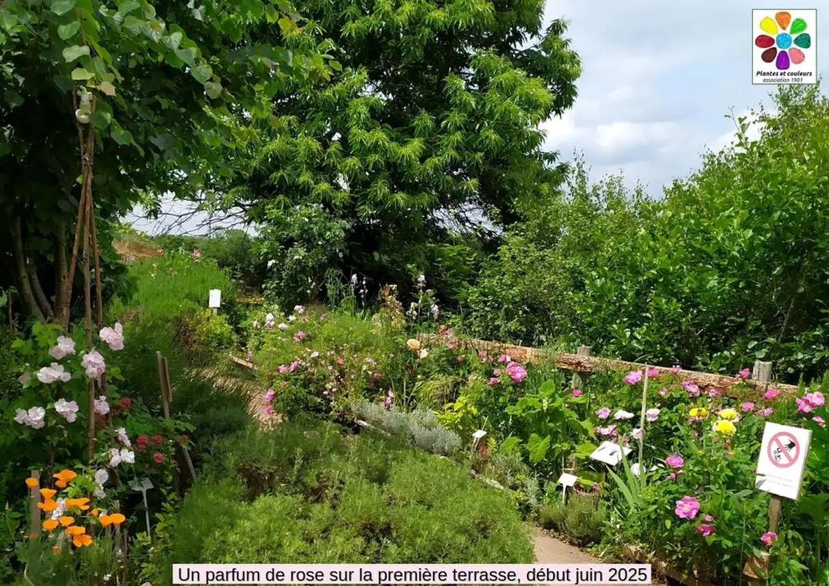 Journées du Patrimoine : accueil et visite au jardin et à l'atelier