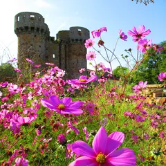 Journées du Patrimoine - Château de Sanzay