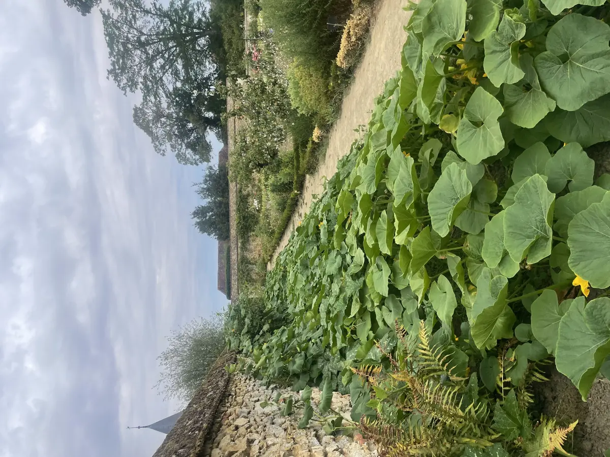 Journées du patrimoine. Couleurs et saveurs du potager des Etournelles. Visite. Exposition de photos. Ruché Vision. Citrouilles spectaculaires