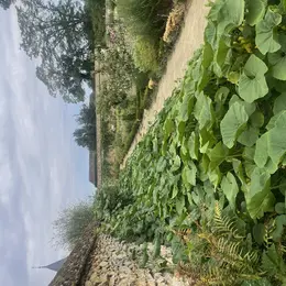 Journées du patrimoine. Couleurs et saveurs du potager des Etournelles. Visite. Exposition de photos. Ruché Vision. Citrouilles spectaculaires