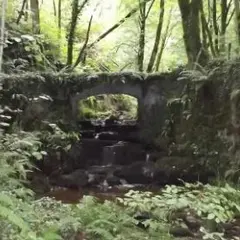 Journées du patrimoine de pays:  archéologie d’un paysage agraire