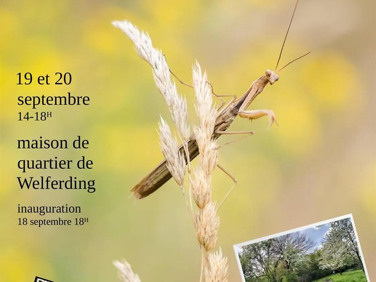 Journées du Patrimoine - expo photo, la beauté de la biodiversité dans nos jardins