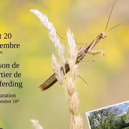Journées du Patrimoine - expo photo, la beauté de la biodiversité dans nos jardins