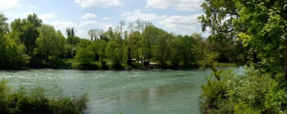 Journées Européenes du Patrimoine : Le gave d'Oloron : production hydroélectrique et poissons migrateurs