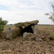 Journées Européennes de l\'archéologie : la nécropole de Monpalais