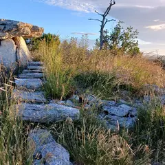 Journées Européennes De L'Archéologie : Super Archi Mégalithique