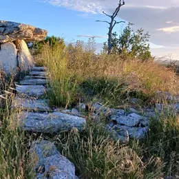 Journées Européennes De L'Archéologie : Super Archi Mégalithique