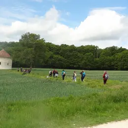 13 idées pour les Journées du Patrimoine en Indre-et-Loire les 19 et 20 septembre 2026 :  caves troglodytiques, châteaux médiévaux, opéra et musées ouvrent leurs portes gratuitement