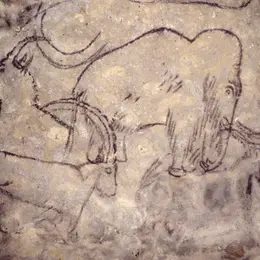 Journées européennes du patrimoine à la Grotte de Rouffignac