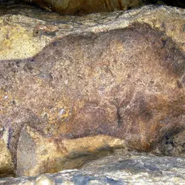 Journées européennes du patrimoine à la Grotte de Font-de-gaume