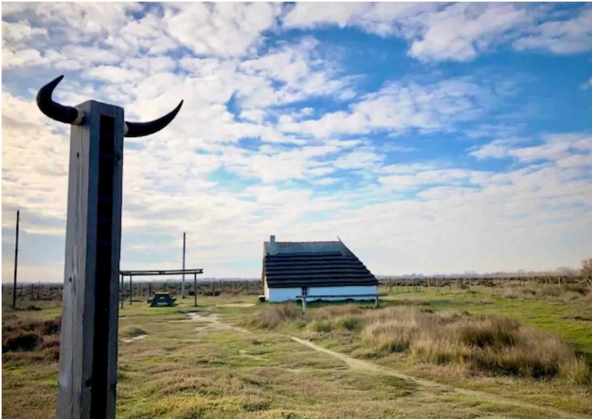 Journées européennes du patrimoine au Musée de la Camargue