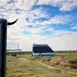 Journées européennes du patrimoine au Musée de la Camargue