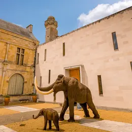 Journées Européennes du Patrimoine au Musée de la Préhistoire