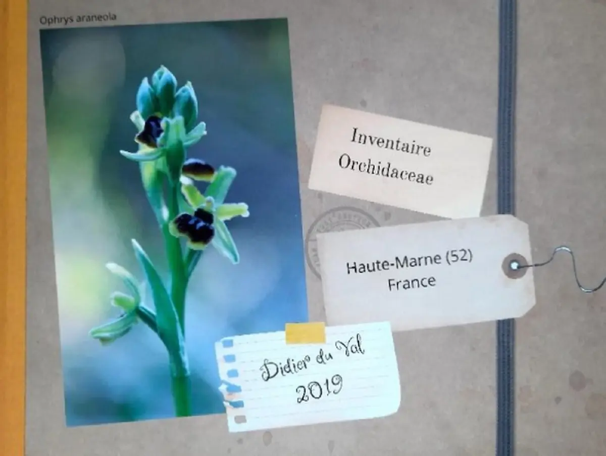 Journées Européennes du Patrimoine : Conférence Les orchidées sauvages de Huate-Marne par Dider du Val