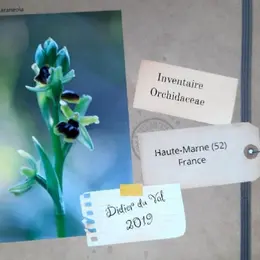 Journées Européennes du Patrimoine : Conférence Les orchidées sauvages de Huate-Marne par Dider du Val