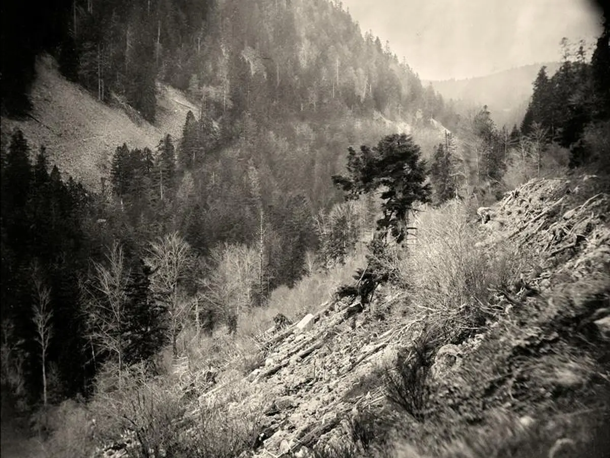 Journées européennes du patrimoine Démonstration: plongez au cœur des origines de la photographie !