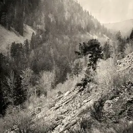 Journées européennes du patrimoine Démonstration: plongez au cœur des origines de la photographie !
