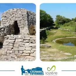 Journées Européennes Du Patrimoine : Exposition Lavognes Et Cazelles