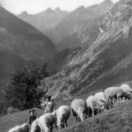 Journées Européennes Du Patrimoine : « Mémoires De Transhumance » - Projection Commentée