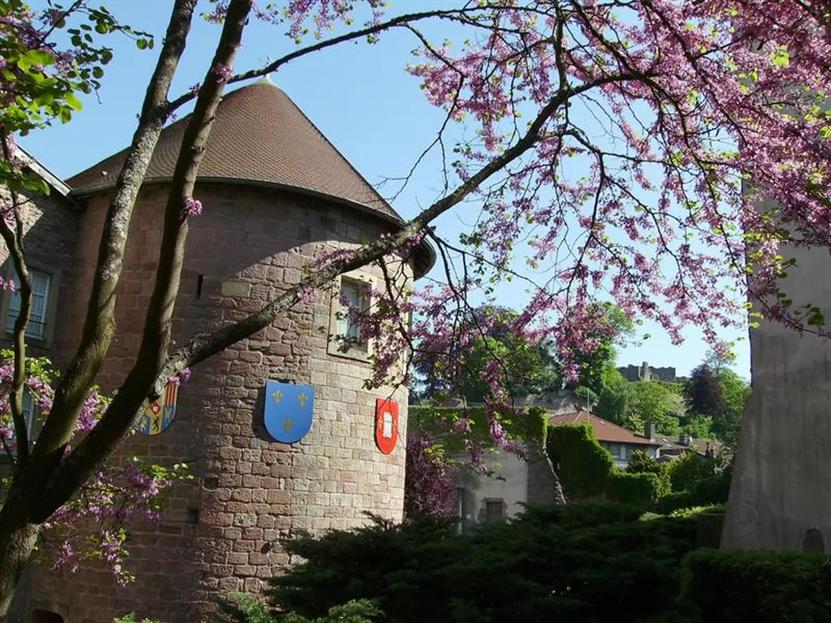 Journées européennes du patrimoine - musée du chapitre