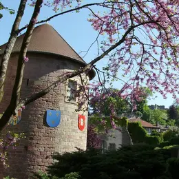 Journées européennes du patrimoine - musée du chapitre
