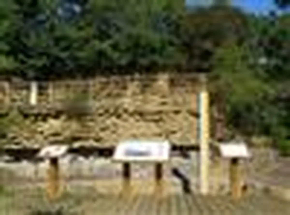 Journées Européennes du Patrimoine : Réserve Naturelle du Toarcien