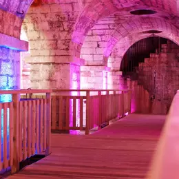 Journées Européennes du Patrimoine : visite de la crypte du Bayaà