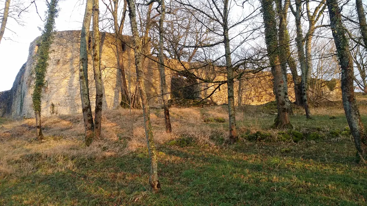 Journées Européennes du Patrimoine : visite du château de Beaufort