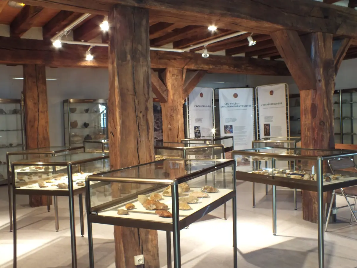 Journées Européennes du Patrimoine : visite du Musée de Préhistoire et d'Histoire
