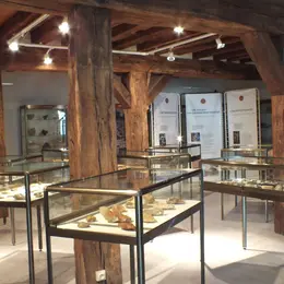 Journées Européennes du Patrimoine : visite du Musée de Préhistoire et d'Histoire