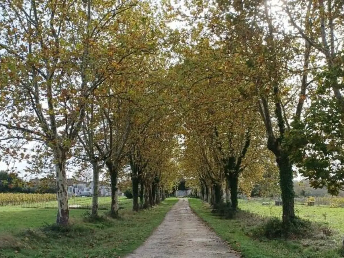 Journées européennes du patrimoine : Visite et dégustation exceptionnelle du domaine de Sentout