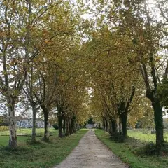 Journées européennes du patrimoine : Visite et dégustation exceptionnelle du domaine de Sentout