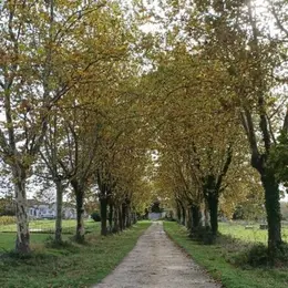 Journées européennes du patrimoine : Visite et dégustation exceptionnelle du domaine de Sentout