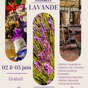 Journées Lavande