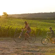 Journées portes ouvertes en Cadillac Côtes de Bordeaux