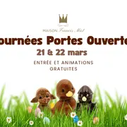 Journées portes ouvertes - Maison Francis Miot