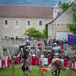 Joutes Equestres du Château Rivau