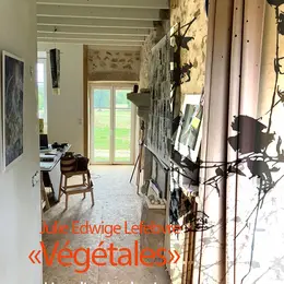 JULIE EDWIGE LEFEBVRE - VEGETALES estampes et photographie - Les Journées Nationales des Artistes