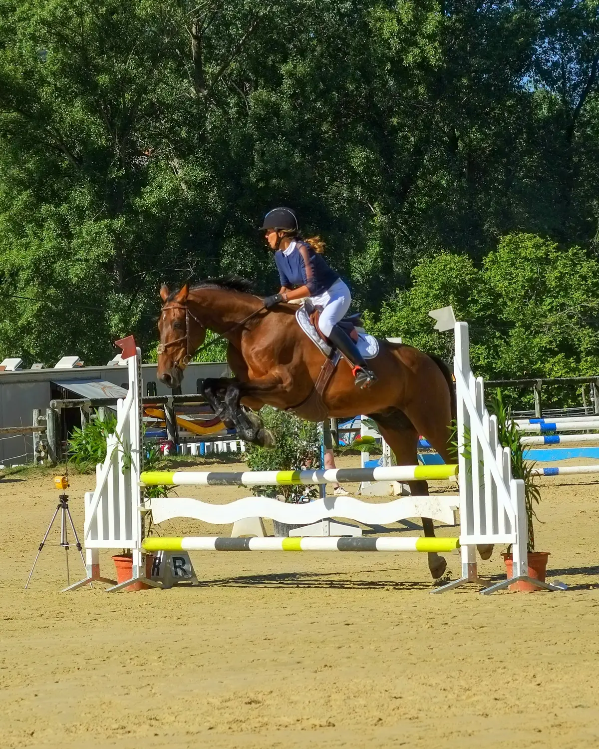 Jump D'Amelie