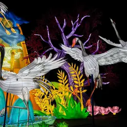 Jungle de Lumières au Zoo de Jurques
